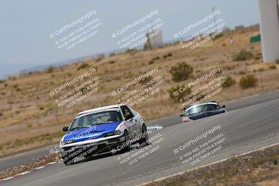 media/May-03-2025-Lucky Dog Racing (Sat) [[206de64b9d]]/Turn 6 (150pm-230pm)/